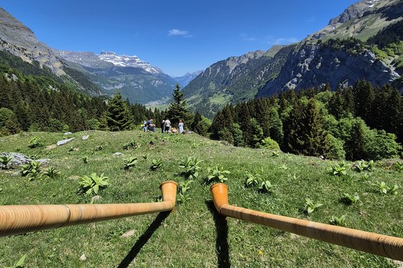 Beisetzung-Linthal.jpg