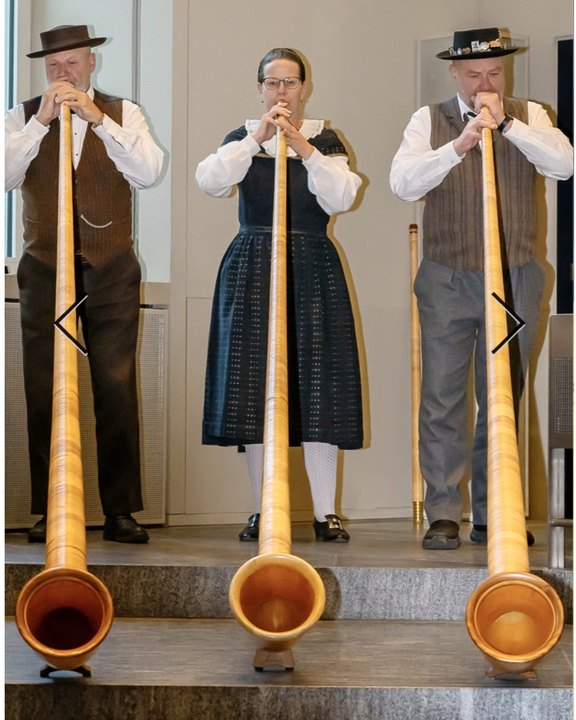DVBuendnerjodelverband.jpg
